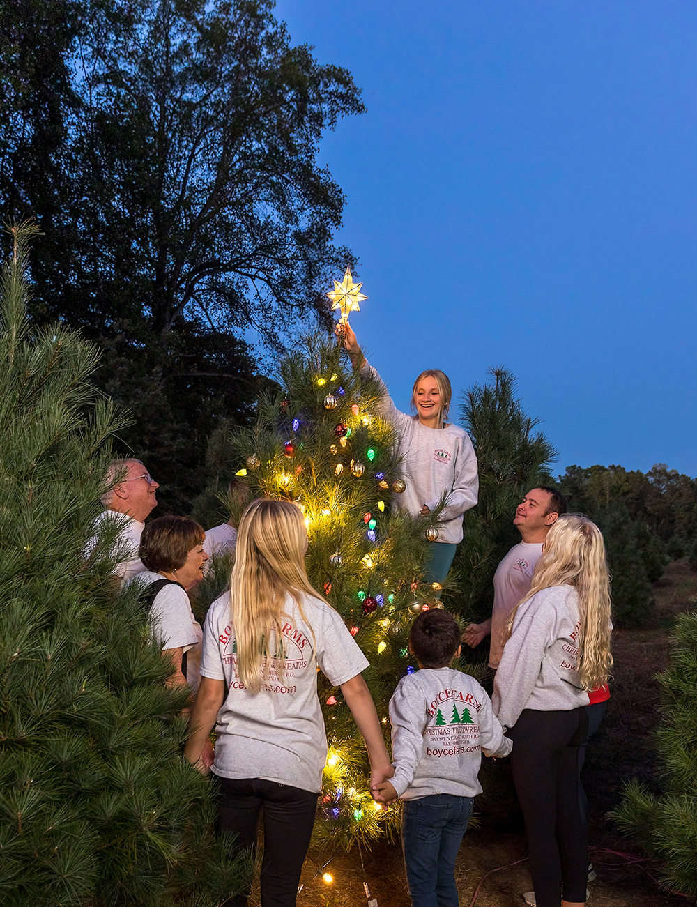 The Boyce family decorates a white pine in their choose and cut lot off Mount Vernon Church Road in Raleigh. From left: Mike and Sheila Boyce, Kirson Lavrack, Asher Lavrack, Madison Lavrak, MIchael Boyce, and Allison Lavrack.