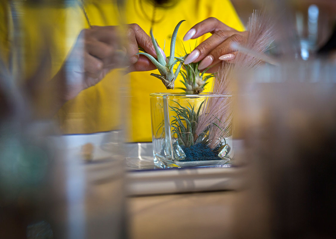 Try your hand at The ZEN Succulent’s DIY terrarium bar!