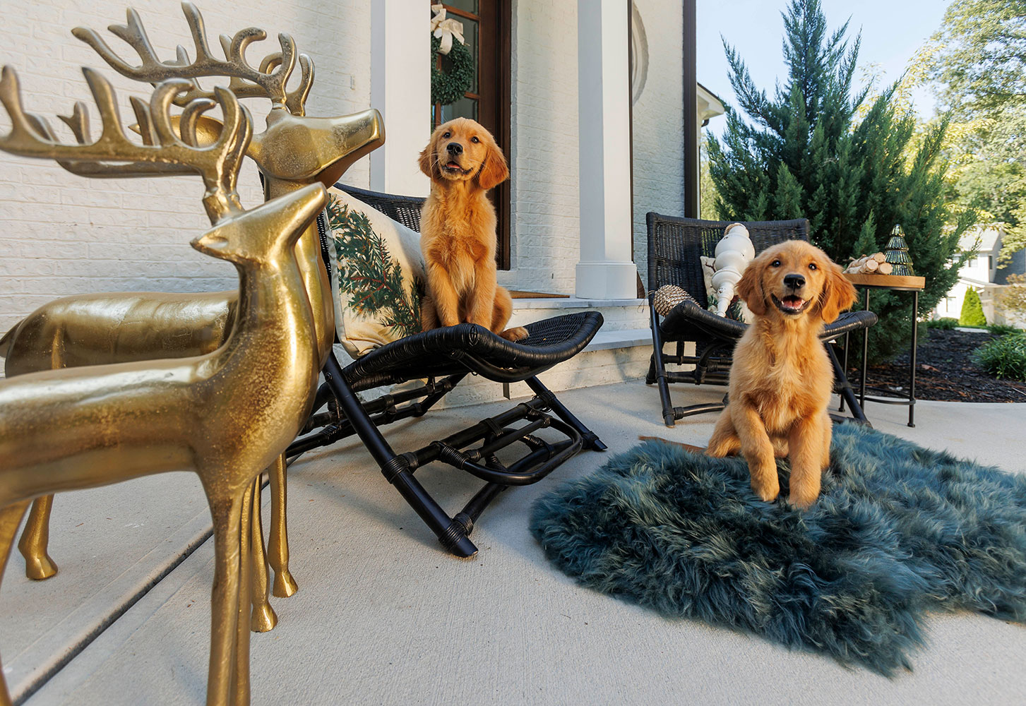 A SANCTUARY FOR BARE FEET: A plush rug creates warmth and comfort and anchors the overall design. Teal — a trending hue this holiday season — introduces a vibrant splash of color and unifies the front porch.